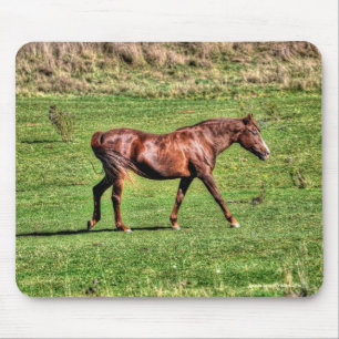 Horse-lover's Beautiful Equine Animal Design Mouse Pad