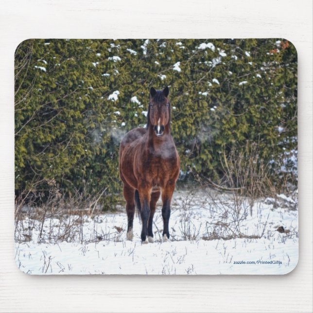 Horse-lover's Beautiful Equine Animal Design Mouse Pad (Front)