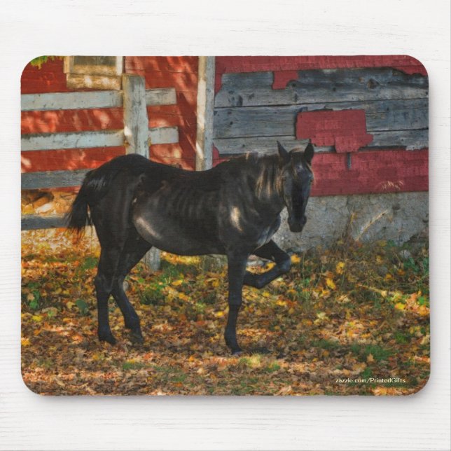 Horse-lover's Beautiful Equine Animal Design Mouse Pad (Front)