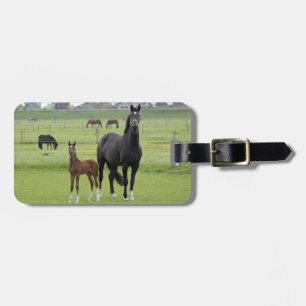 Horse Lover's custom luggage tag