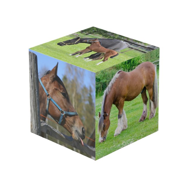 Horse Lover's custom photo cube (Front Angled)