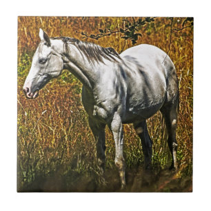 Horse-lover's Equine Animal Design Tile