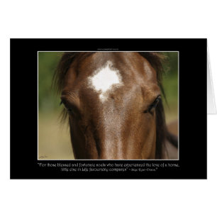 Horse-lover's Equine Animal-lover's Gift