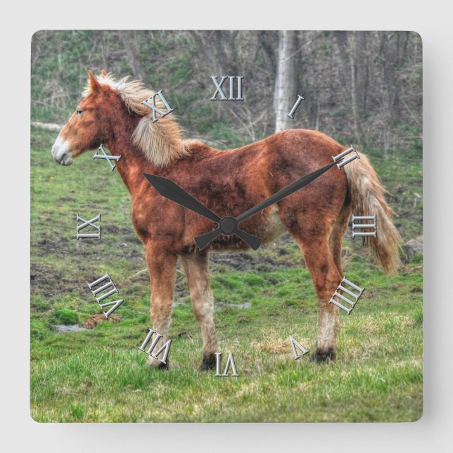 Horse-lover's Equine Animal-lover's Gift Square Wall Clock (Front)