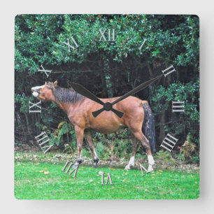 Horse-lover's Equine Animal-lover's Gift Square Wall Clock