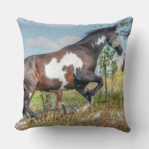 Horse-lover's Equine Photo on a BC Ranch Cushion