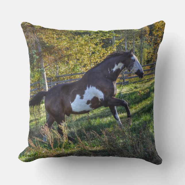 Horse-lover's Equine Photo on a BC Ranch Cushion (Front)