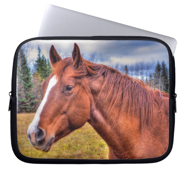 Horse-lovers Equine Ranch Horse Photo Laptop Sleeve (Front)