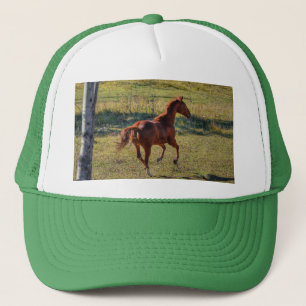 Horse-lovers Equine Ranch Horse Photo Trucker Hat