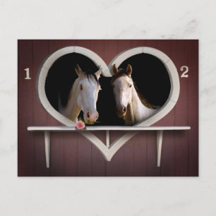 Horse Lovers Postcard