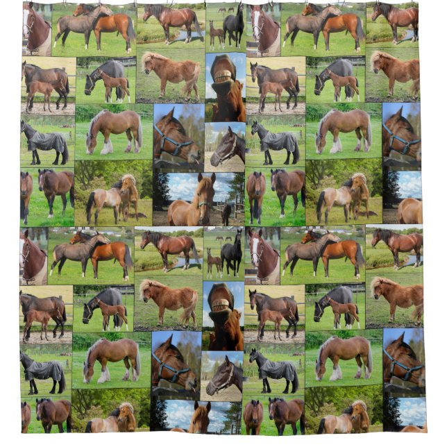 Horse Lover's shower curtain (Front)
