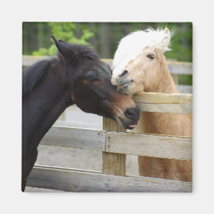 Horse Lovin' Magnet