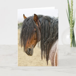 Horse Mane Card