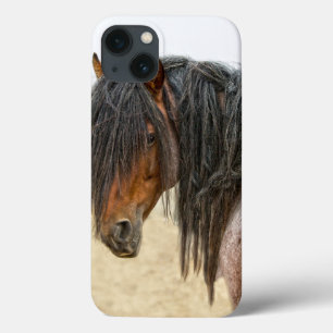 Horse Mane iPhone 13 Case