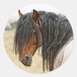 Horse Mane Classic Round Sticker