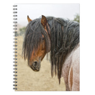 Horse Mane Notebook