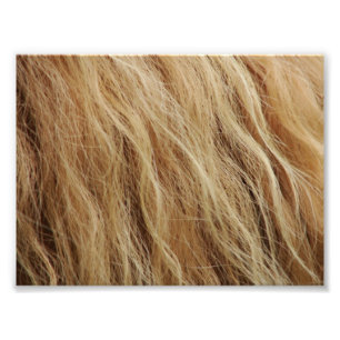 Horse Mane Photo Print