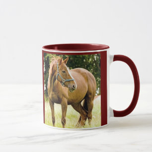Horse ( mare) in the field mug