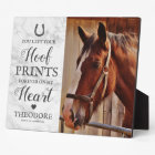 Horse Memorial - Pet Sympathy Photo