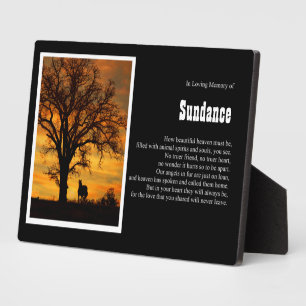 Horse Memorial Spiritual Poem Heaven Custom Name Plaque