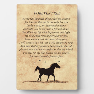 Horse Memorial Spiritual Poem Plaque