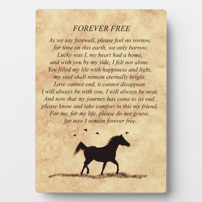 Horse Memorial Spiritual Poem Plaque (Front)