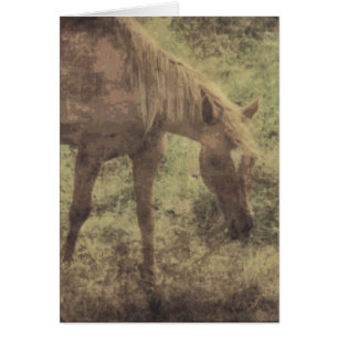 Horse Memories Grunge