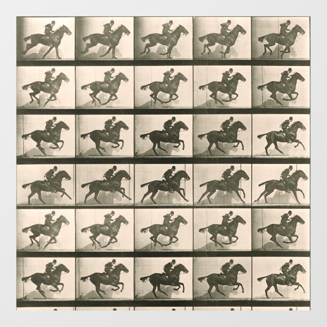 Horse Motion Vintage Photography (Sheet)
