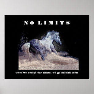 Horse Motivational Inspirational No Limits Quote Poster