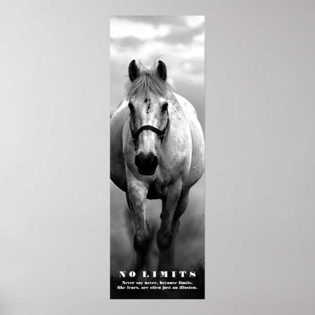 Horse Motivational No Limits Artwork Black White Poster (Front)