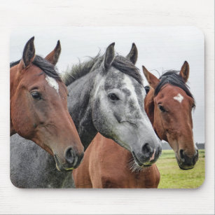 Horse Mouse Pad