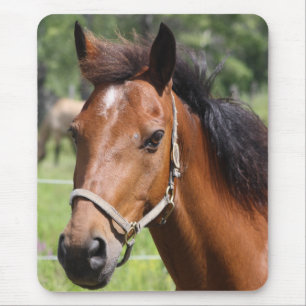 Horse Mouse Pad