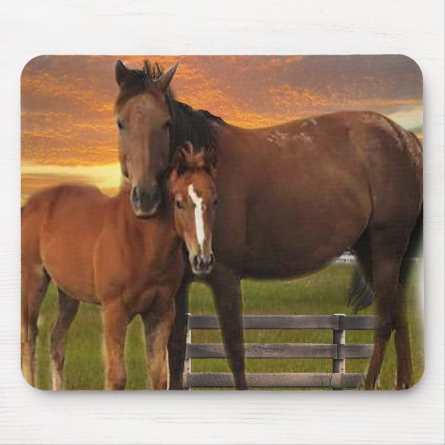 Horse Mouse Pad (Front)