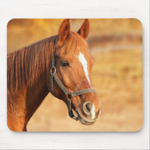 Horse Mouse Pad