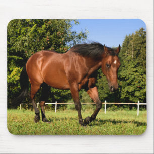 Horse Mouse Pad