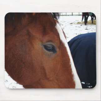 Horse mousemat