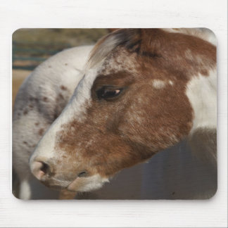 Horse Mousepad
