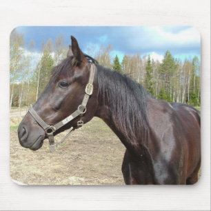 Horse mousepad