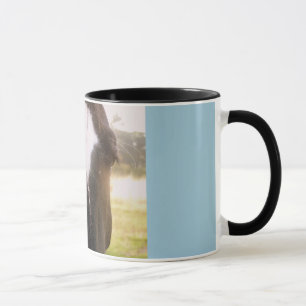 Horse Mug