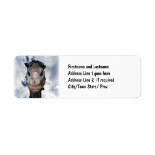 Horse Nose Knows! Funny Smiling Horse Return Address Label