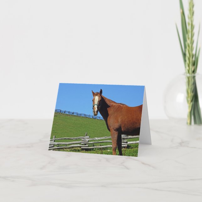 Horse Note Card (Front)