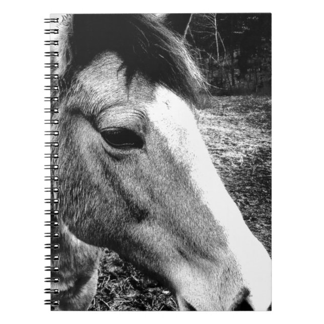 Horse Notebook (Front)