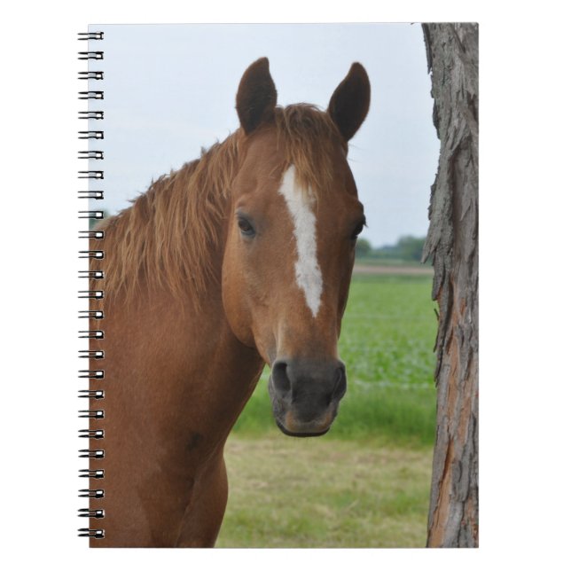 Horse Notebook (Front)