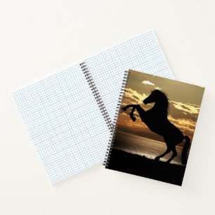 horse notebook