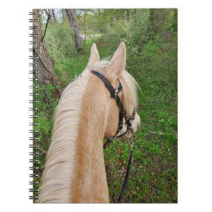 Horse notebook