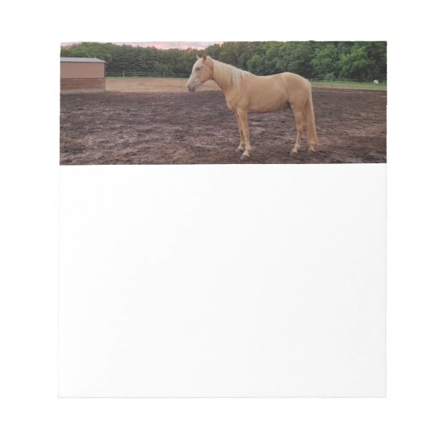Horse  notepad (Front)