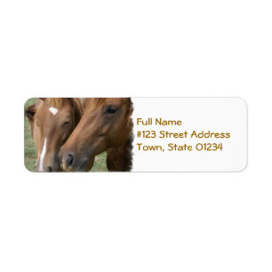 Horse Nuzzle Mailing Label Return Address Label