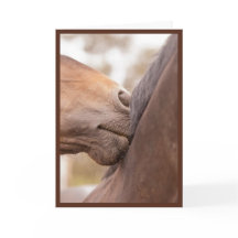 Horse Nuzzle Valentine