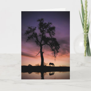 Horse Oak Tree Nature Water Thinking of You Card