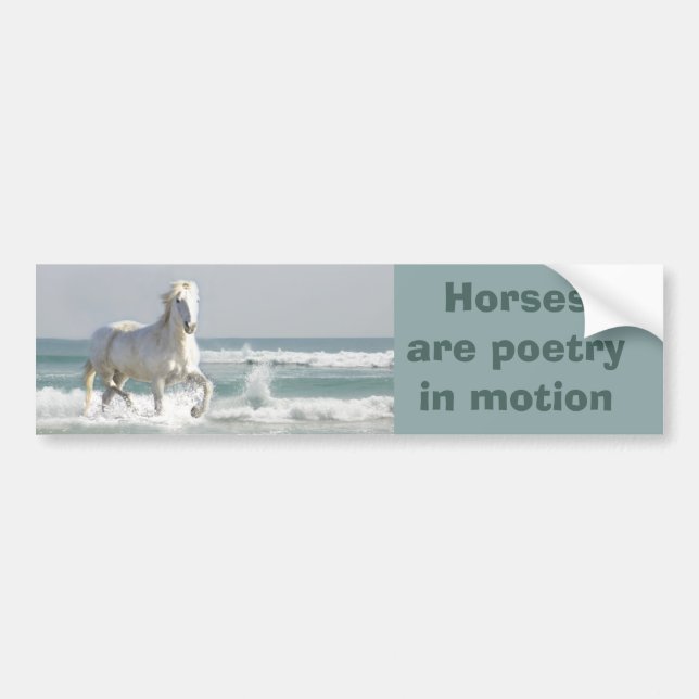 Horse Ocean Beauty Bumper Sticker (Front)